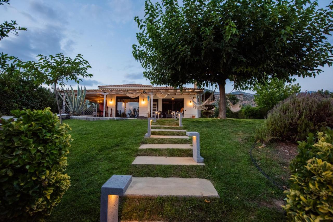 Vila Luxury House In A Farm Volos Exteriér fotografie